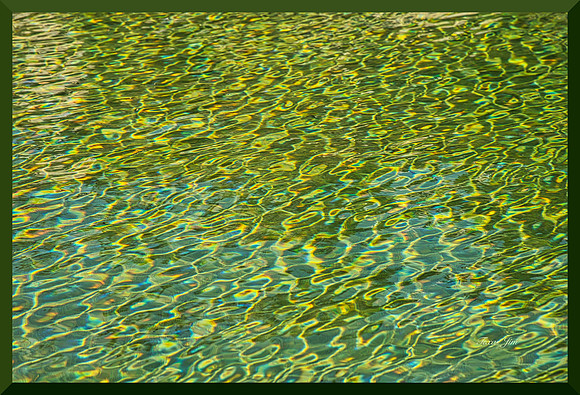 Sandy Bottom for web DSC_7052
