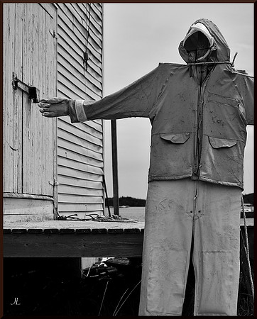 Step Right This Way DSC_9262