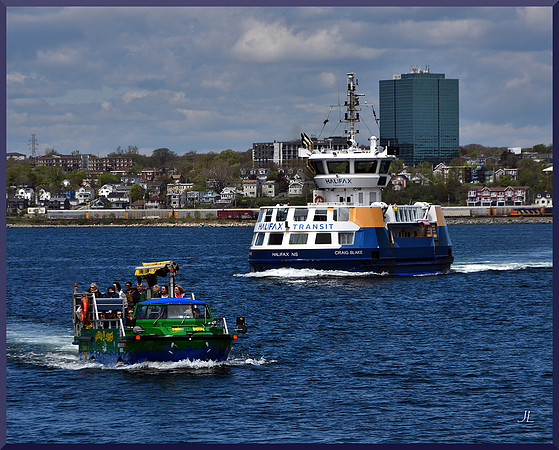 Harbour Hopper and Ferry DSC_9265