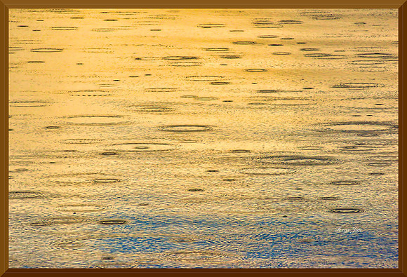 Light Rain for web DSC_7675