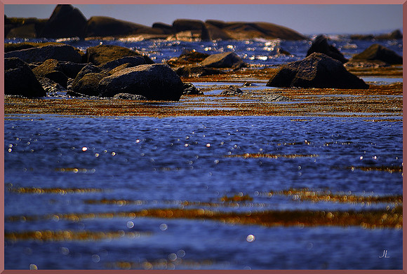 The Rocks in the Middle Distance DSC_0010