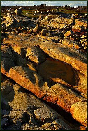 Coastal Barrens for web DSC_9417