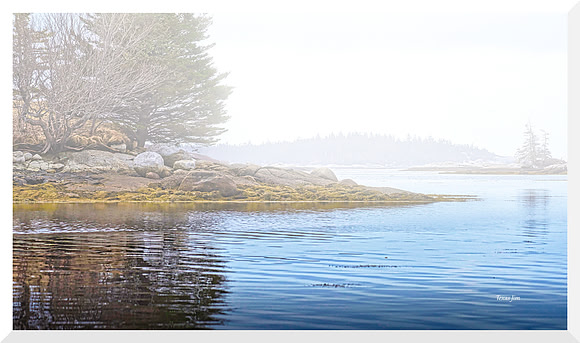 Fog Creeping In for web DSC_4624