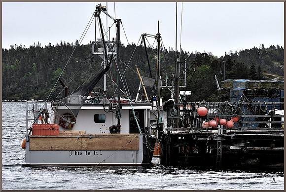 Boat - This Is It for web DSC_9492