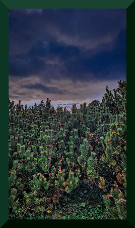 mugo and storm 20231023_165154