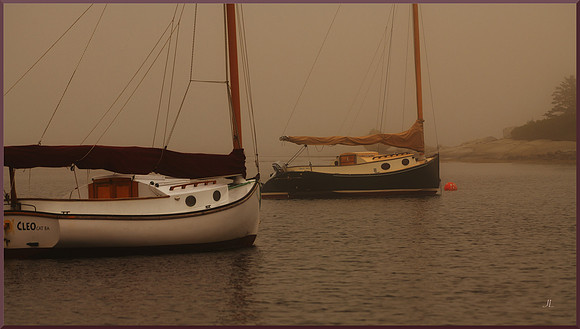 Catboats in Fog for web DSC_0099