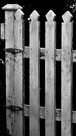Garden Gate DSC_0251