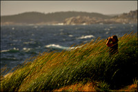 Watcher on the High Head Trail w sig for the web DSC_2720