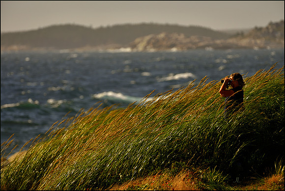 Watcher on the High Head Trail w sig for the web DSC_2720