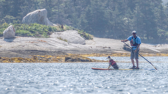 Man on Paddle Board with Dog DSC_3048