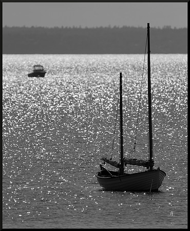 At Rest in the Shining DSC_0647