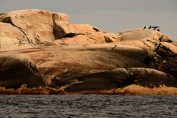 Bald Rock and Birds for web DSC_0606