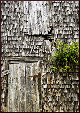 Old Barn Wall for web DSC_0024