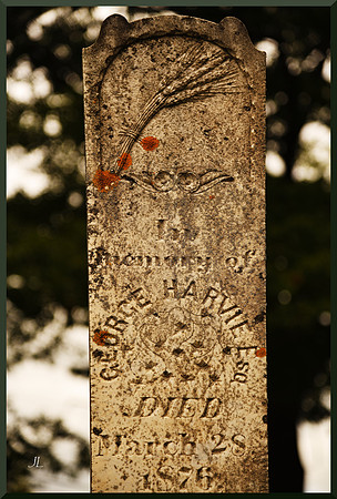 Headstone with Sheaf of Wheat for web DSC_0026