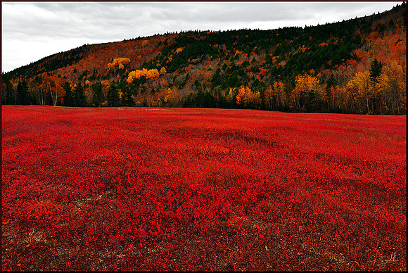Colours of Colchester County 2 w sig DSC_3523