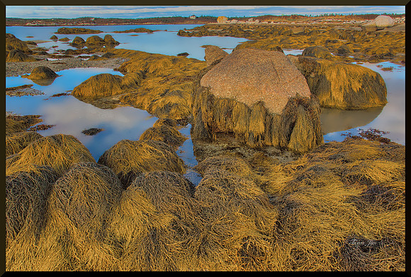 Low Tide in the Back Bay for web DSC_7963