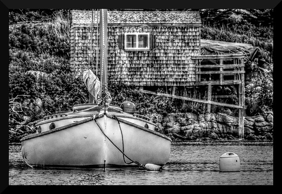 Honeybee w sig-bord DSC_3745