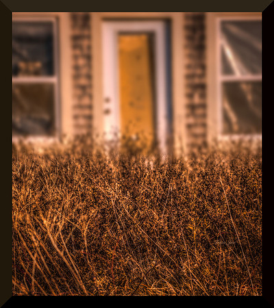 Overgrown and Abandoned DSC_7993