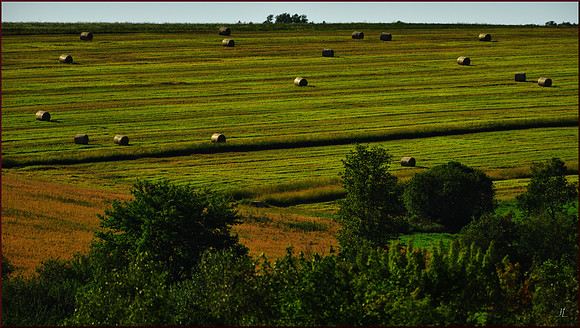 Hay Rolls - Burlington w sig for web DSC_2064