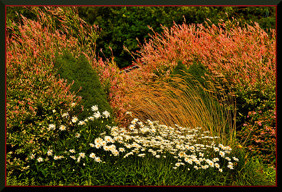 Commotion in the Garden w sig for web DSC_0851