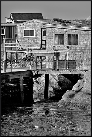 Stages DSC_3182