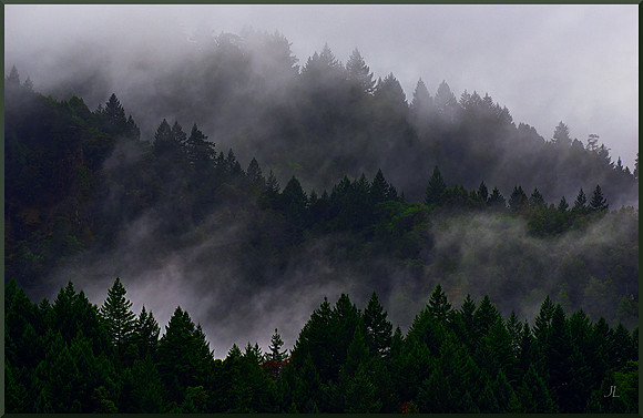 Fog Across the Valley for web DSC_2848