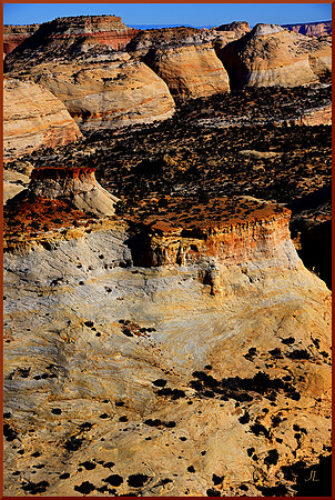 Mountain Bones - Utah for web DSC_2796