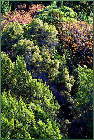 In the Valley Below for web DSC_2857