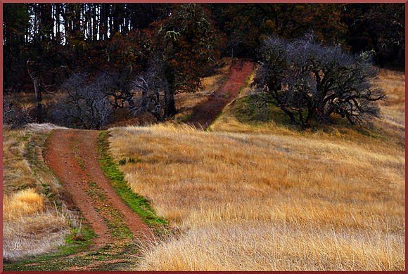 Linholme - The Back Way for web DSC_2850_01