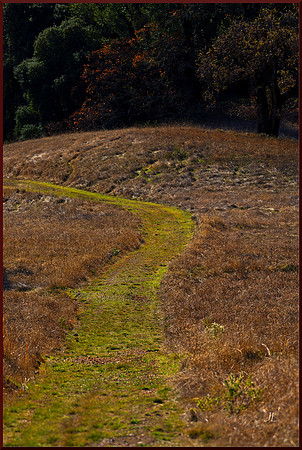 Green Path for web DSC_2895