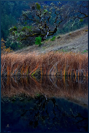 Reflection on Small Pond for web DSC_2915
