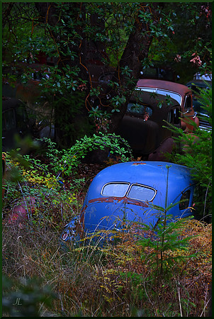 Lost Cars DSC_2933