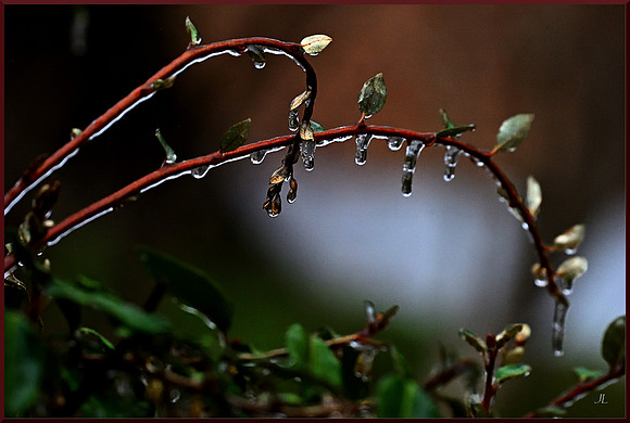 Tulsa Ice Storm 2 for web DSC_3090
