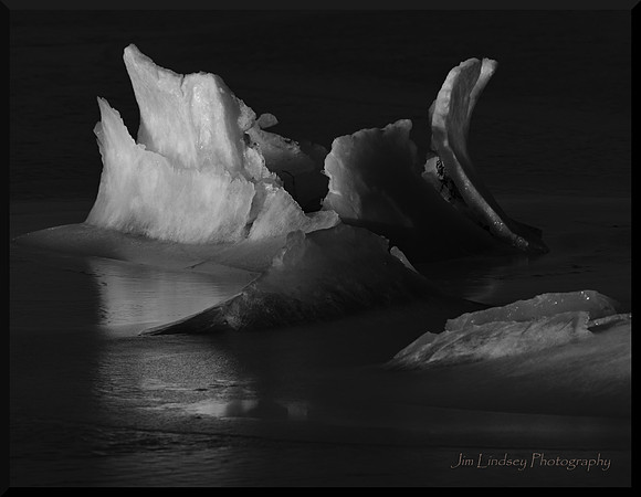 Ice Blossoms DSC_3306