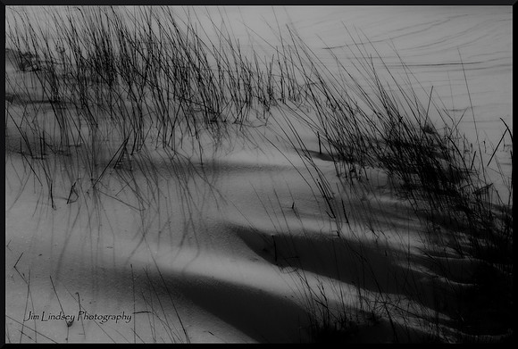 Long Grass in a Snowdrift at Dusk DSC_3358