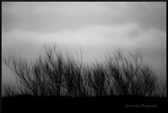Reaching DSC_3410