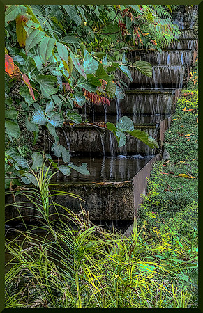 Tangled Gardens 1