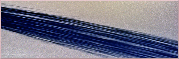 Path of Blue Shadows DSC_3415_01