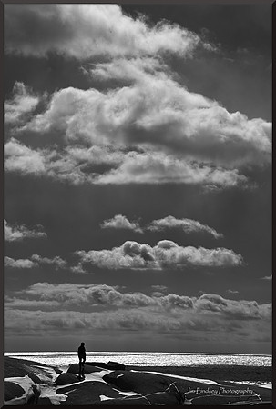 Shoreline Solitude DSC_3362