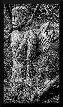Tangled Gardens Mystery Man