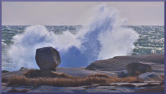 Erratic with Ocean Spray DSC_3534