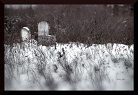 Wandering Off for web DSC_8058
