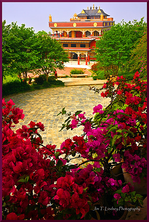 Pullahari Gompa with Flowers for web DSC_3605