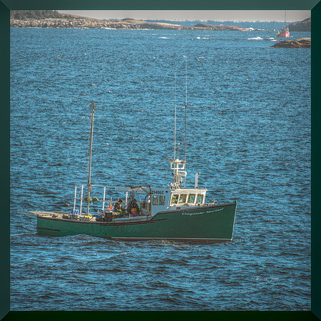 Hauling Traps DSC_8130