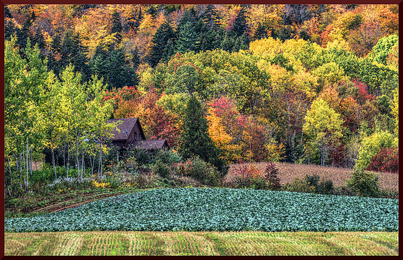 Farm and Forest Fall for web DSC_4041