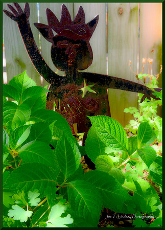 When a Star is Your Heart DSC_4139