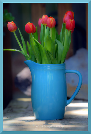 Still Life with Tulips DSC_4225