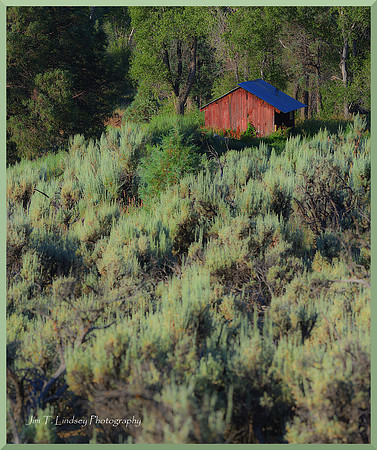 Cabin near Pagosa Springs 1 DSC_4297