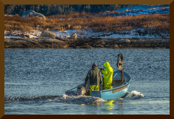 Budget Lobstering DSC_8343
