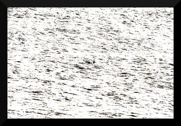 One Duck DSC_8324